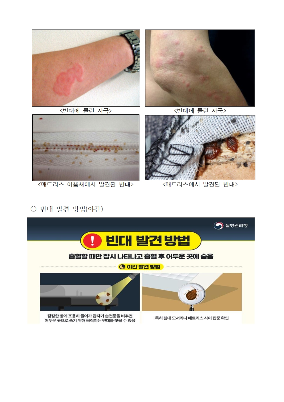 빈대 예방 및 발생 시 신고 안내 첨부이미지